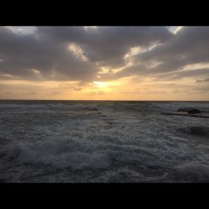 Meet your Posher, Mona